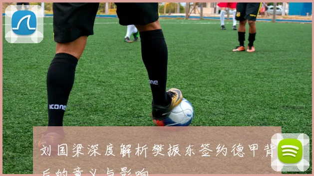 刘国梁深度解析樊振东签约德甲背后的意义与影响